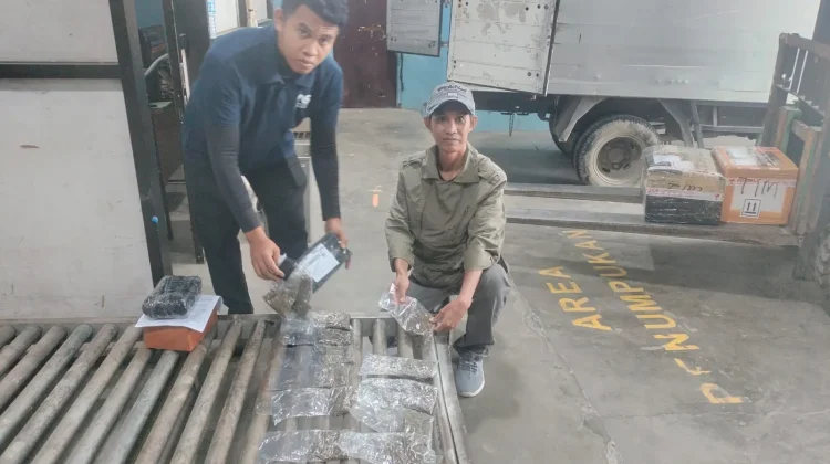 Satgas Citarum Bais TNI Gagalkan Pengiriman Ganja di Bandara Sentani
