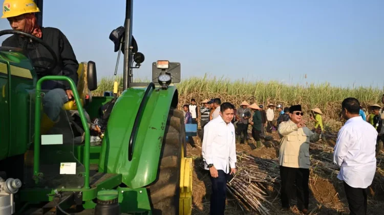 Presiden Panen Raya Serentak Tiga Komoditas Pangan
