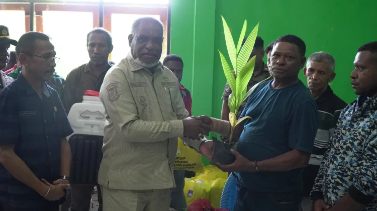 Pemkot Jayapura Salurkan Bantuan Pertanian dan Ketahanan Pangan untuk Petani
