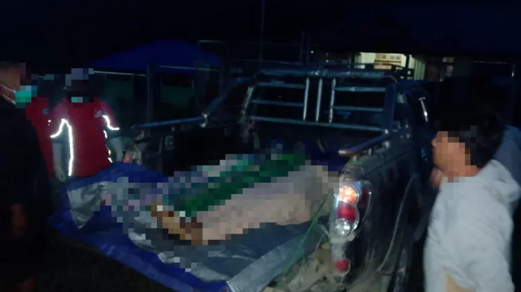 KKB Kembali Menyerang Pekerja Pembangunan Jalan di Pegunungan Papua