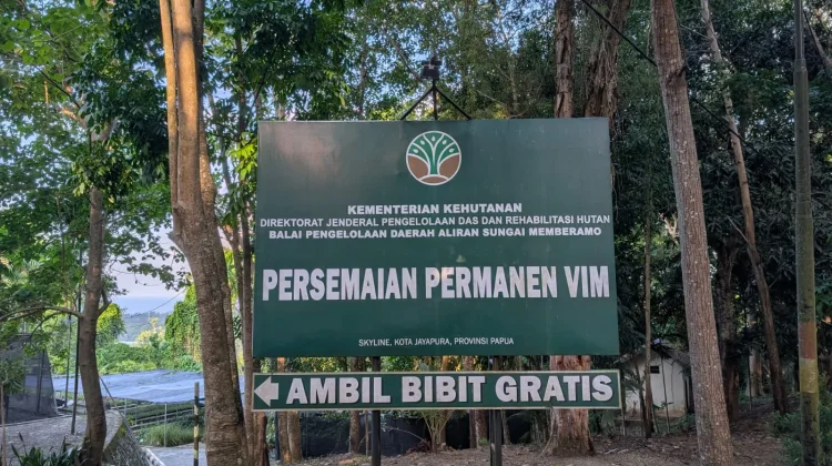 BPDAS Batasi Pengambilan Bibit Gratis Maksimal 25 Batang