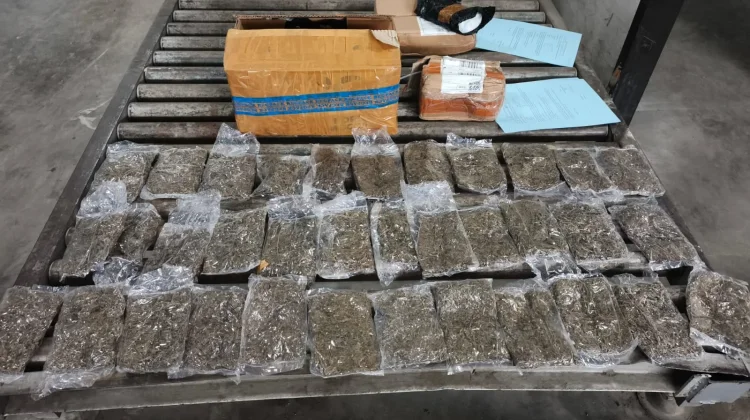 Petugas Gagalkan Pengiriman Ganja via Bandara Sentani