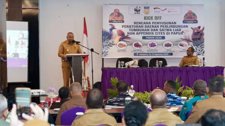 Pemprov Papua Susun Raperda Lindungi Satwa Non-Appendix CITES