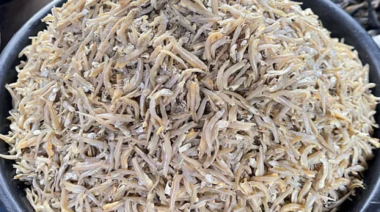 Manfaat Konsumsi Ikan Teri yang Sayang untuk Dilewatkan