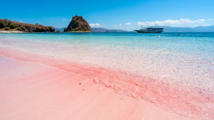 Pesona Pantai Pink yang Wajib Kamu Kunjungi