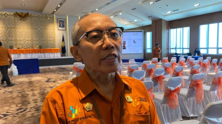 Akses dan Sinyal Hambat Pendataan Sensus Ekonomi di Papua