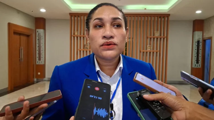 DPW PAN Papua Perkuat Konsolidasi Internal dan Strategi Partai