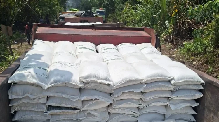 Sebanyak 25 Ton Beras Bantuan Berhasil Tiba di Nduga