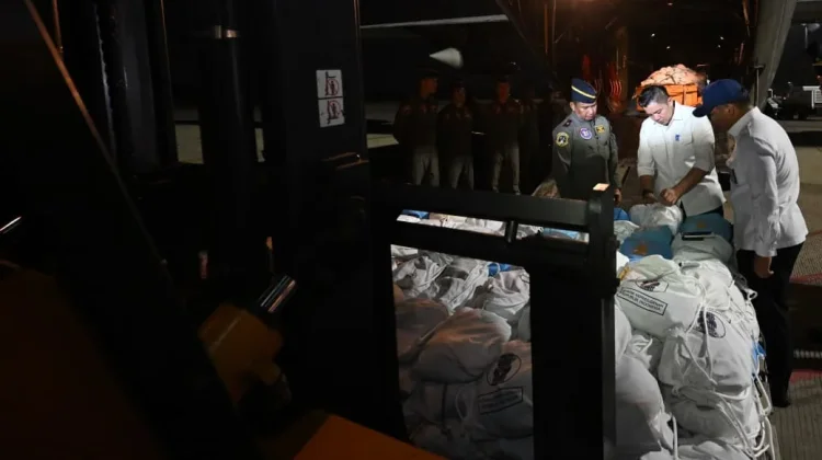 Pemerintah Gerak Cepat Tangani Pascagempa di NTT