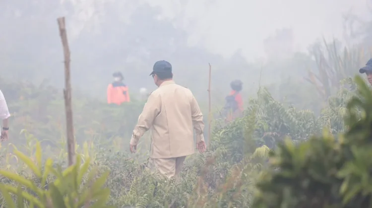 Presiden Pastikan Penanganan Karhutla Berjalan Optimal