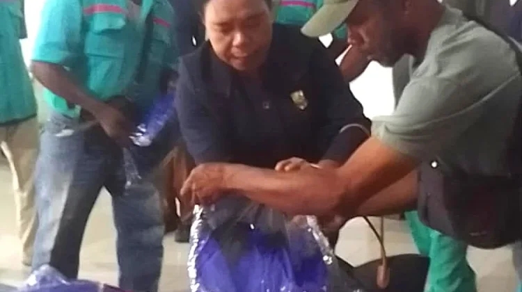Dina Rumbiak Minta Bandara Biak Perbanyak Tenaga Kerja Lokal dan Penerbangan