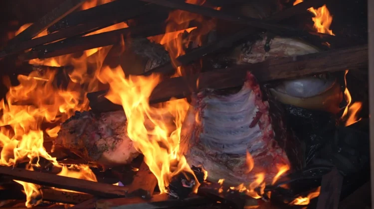 Barantin Musnahkan Daging Babi dan Bebek Ilegal di Papua