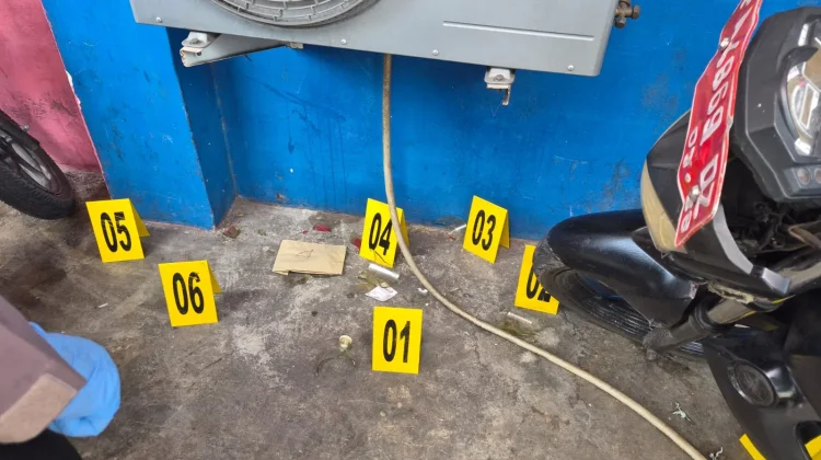 Teror Bom Molotov Sasar Kantor Komnas HAM Papua