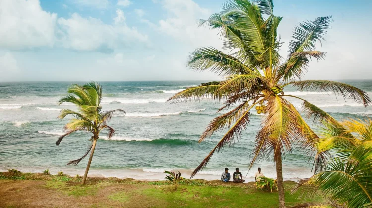 Faktor Penyebab di Pantai Indonesia Indentik dengan Banyaknya Pohon Kelapa
