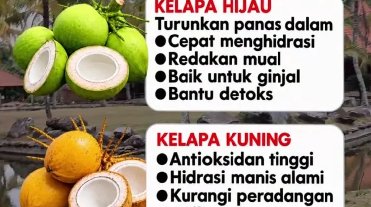 Jangan Asal Minum Air Kelapa, Beda Warna Beda Khasiatnya