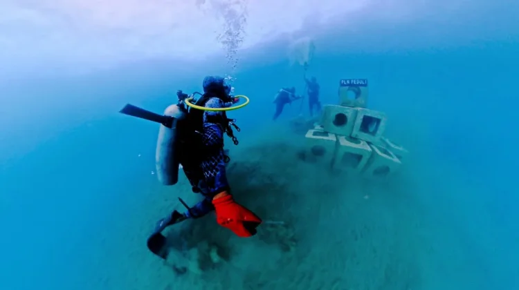 PLN Ubah FABA PLTU Holtekamp Jadi Rumah Biota Laut di Jayapura