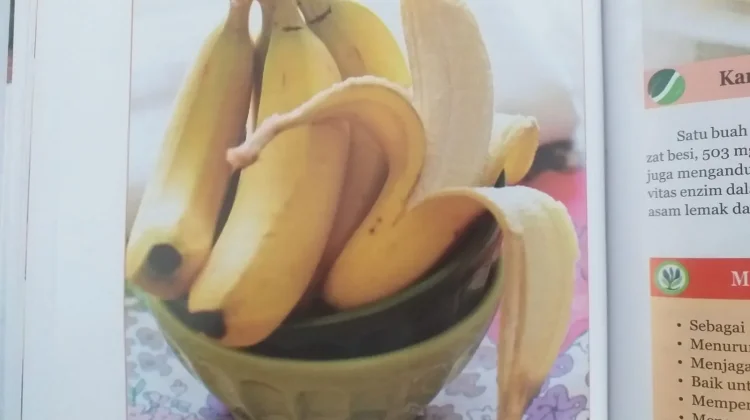 Kandungan Zat Gizi Buah Pisang dan Manfaatnya bagi Kesehatan