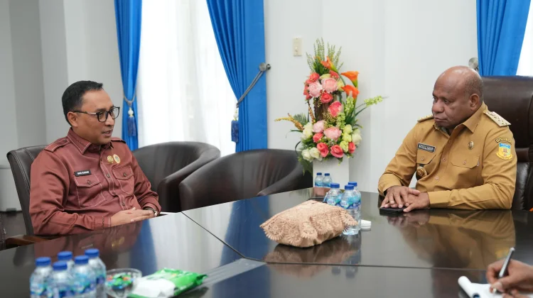 BKN Dorong Pemprov Papua Segera Profiling ASN untuk Manajemen Talenta