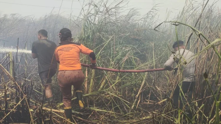 Kebakaran Hutan di Awayanka Berhasil Dipadamkan, Polisi dan Warga Bergerak Cepat