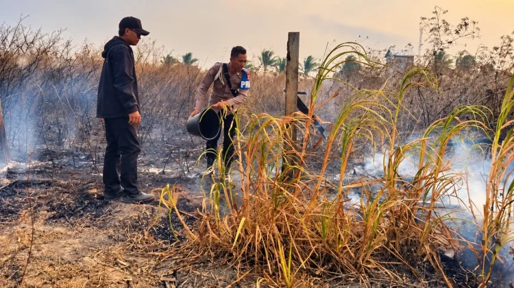Polisi dan Warga Berhasil Memadamkan Karhutla di Merauke