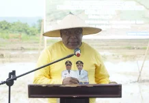 Wagub Papua Apresiasi Tanam Padi Perdana Kota Jayapura