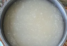 Sagu Jadi Pilihan Karbohidrat untuk Diet Sehat