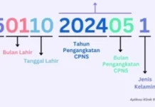 NIP: Identitas Seorang PNS