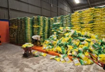 Bulog Pastikan Stok Beras Papua Aman hingga Lebaran, Harga Dijaga Tetap Stabil