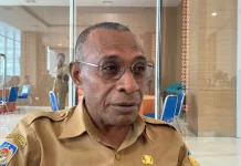 Disperindag Papua Siap Fasilitasi Ekspor Sagu ke Tiga Negara