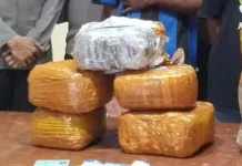 Polsek KPL Jayapura Gagalkan Penyelundupan 6 Kg Ganja