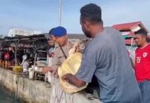Quick Respon Satpolair Polresta Berhasil Amankan Penyu Hijau di Laut Hamadi