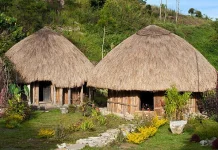 Mengenal Rumah Adat Papua dan Keunikannya