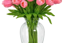 Memahami Dasar-Dasar Desain Bunga untuk Pemula