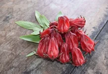 Minuman Rosella yang Menyehatkan