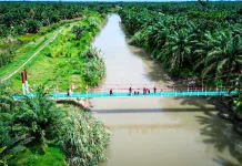 Presiden Sebut Jembatan Rakyat, Harapan bagi Anak Indonesia