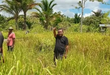 PKB GKI Klasis Sentani Survei Lahan Penanaman Pohon Sagu