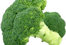 Manfaat Sayur Brokoli untuk Anak