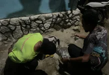 Polisi Tangkap Dua Pemuda Pembawa 200 Gram Ganja