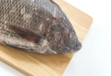 Waspada! Ini Ciri-Ciri Ikan yang Sudah Tidak Layak Dikonsumsi