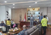 Investor Belanda Jajaki Energi Terbarukan di Papua