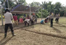 Polsek Bonggo Dorong Ketahanan Pangan dan Pemanfaatan Lahan di Kampung Rotea