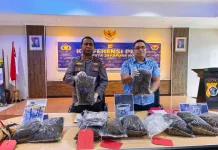 Kurir Ganja 8,3 Kg di Jayapura ternyata Residivis