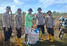 Polsek Jagebob Serahkan Bantuan Pupuk dan Dampingi Pemupukan Jagung di Mimi Baru