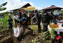 Karantina Papua Catat Empat Penindakan Pangan hingga April