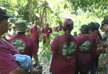 Program Tanam 100 Bibit Pohon Solusi Pemerintah Kampung Nafri Atasi Krisis Air