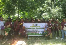 Wujudkan Paru-Paru Kota Jayapura, Alumni Katadha 92 Hijaukan Kampung Nafri