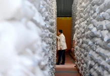 Presiden Pastikan Stok Beras Aman dan Distribusi Tepat Sasaran