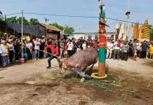 Ritual Adat Nusantara Bertahan, Warisan Leluhur Tetap Hidup