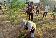 Astra Motor Dukung Pelaksanaan Penanaman 1.300 Pohon di Bukit Khambu Jayapura