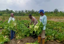 Polsek Muara Tami Sambangi Kelompok Tani Koya Barat